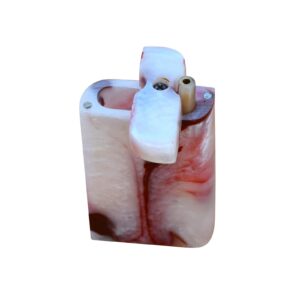 Pearl White and Red Resin Dugout 4 Inch with Magnetic Lid